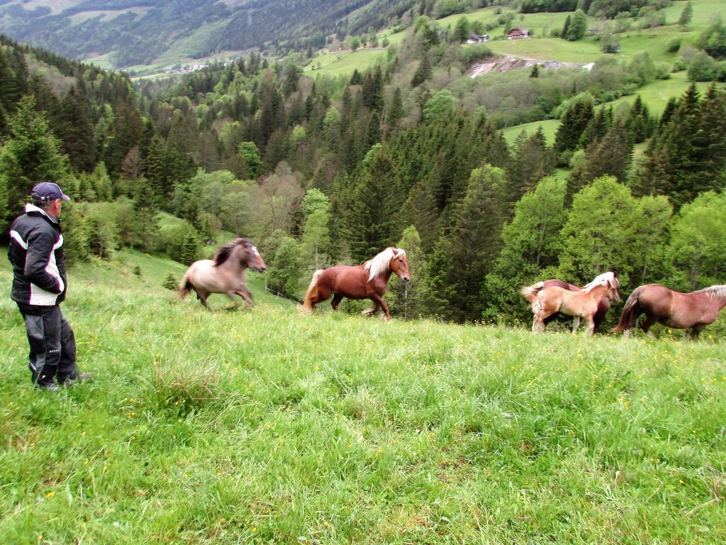 Ferienwohnungen Maderebner Грёбминг Экстерьер фото